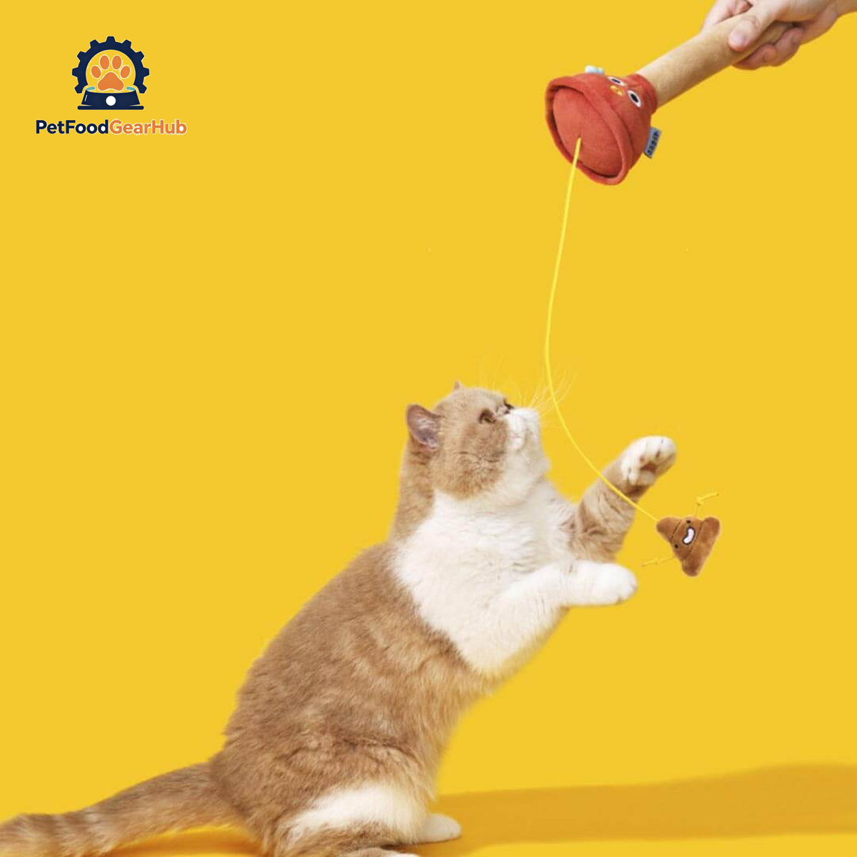 Cat Playing with Plunging Poo Cat Teaser | Funny Kitten & Cat Toys | PetFoodGearHub