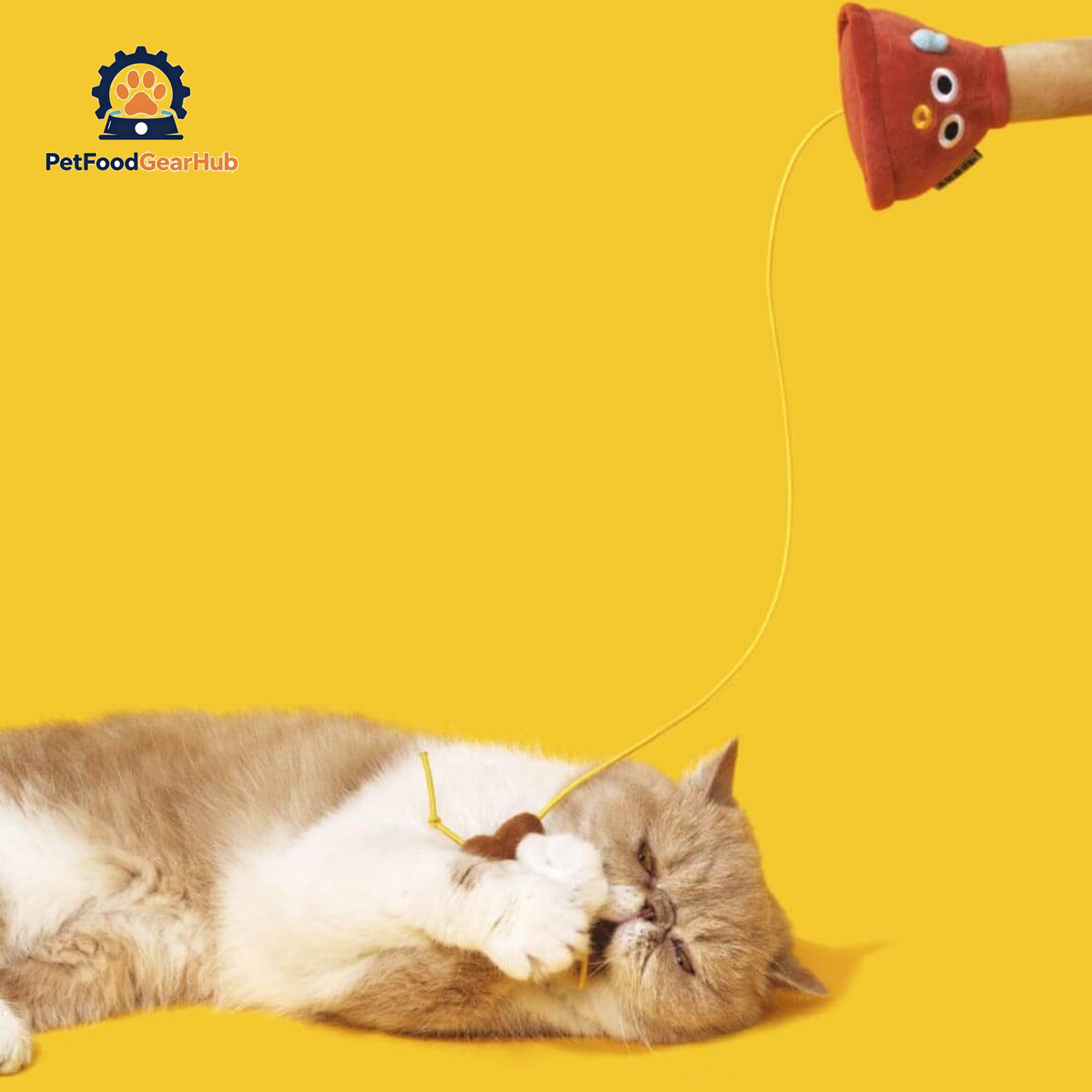 Cat Playing with Plunging Poo Cat Teaser | Funny Kitten & Cat Toys | PetFoodGearHub