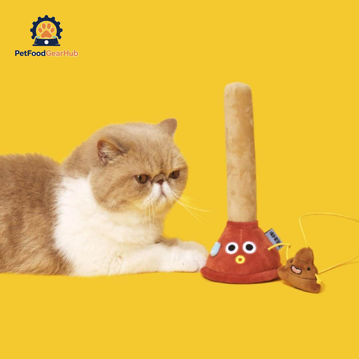 Cat Playing with Plunging Poo Cat Teaser | Funny Kitten & Cat Toys | PetFoodGearHub