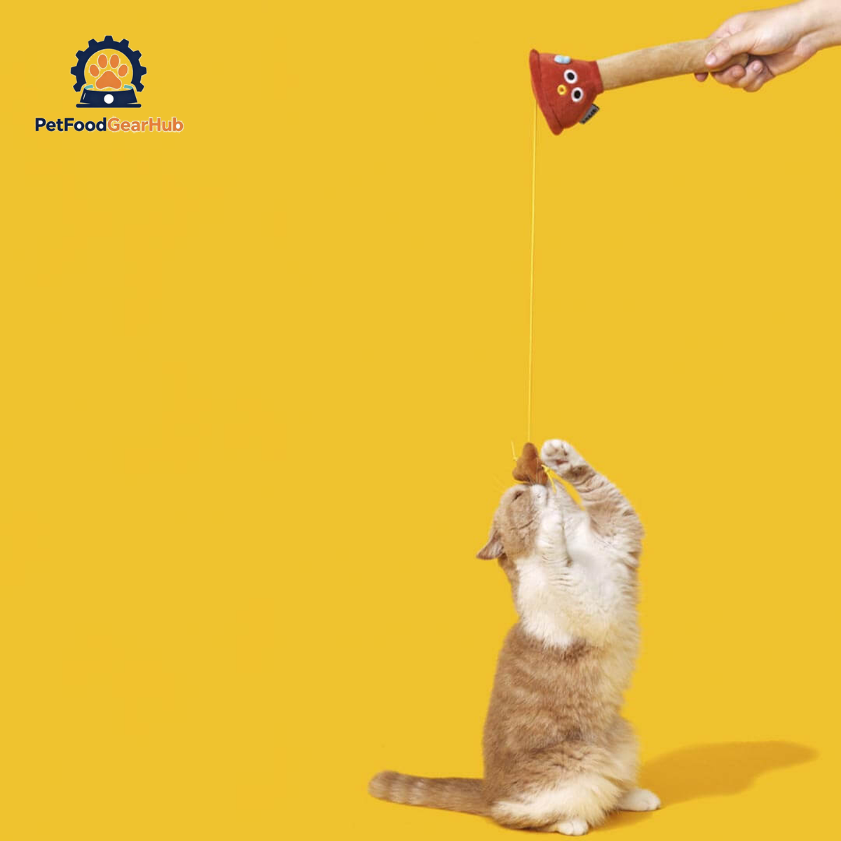 Cat Playing with Plunging Poo Cat Teaser | Funny Kitten & Cat Toys | PetFoodGearHub