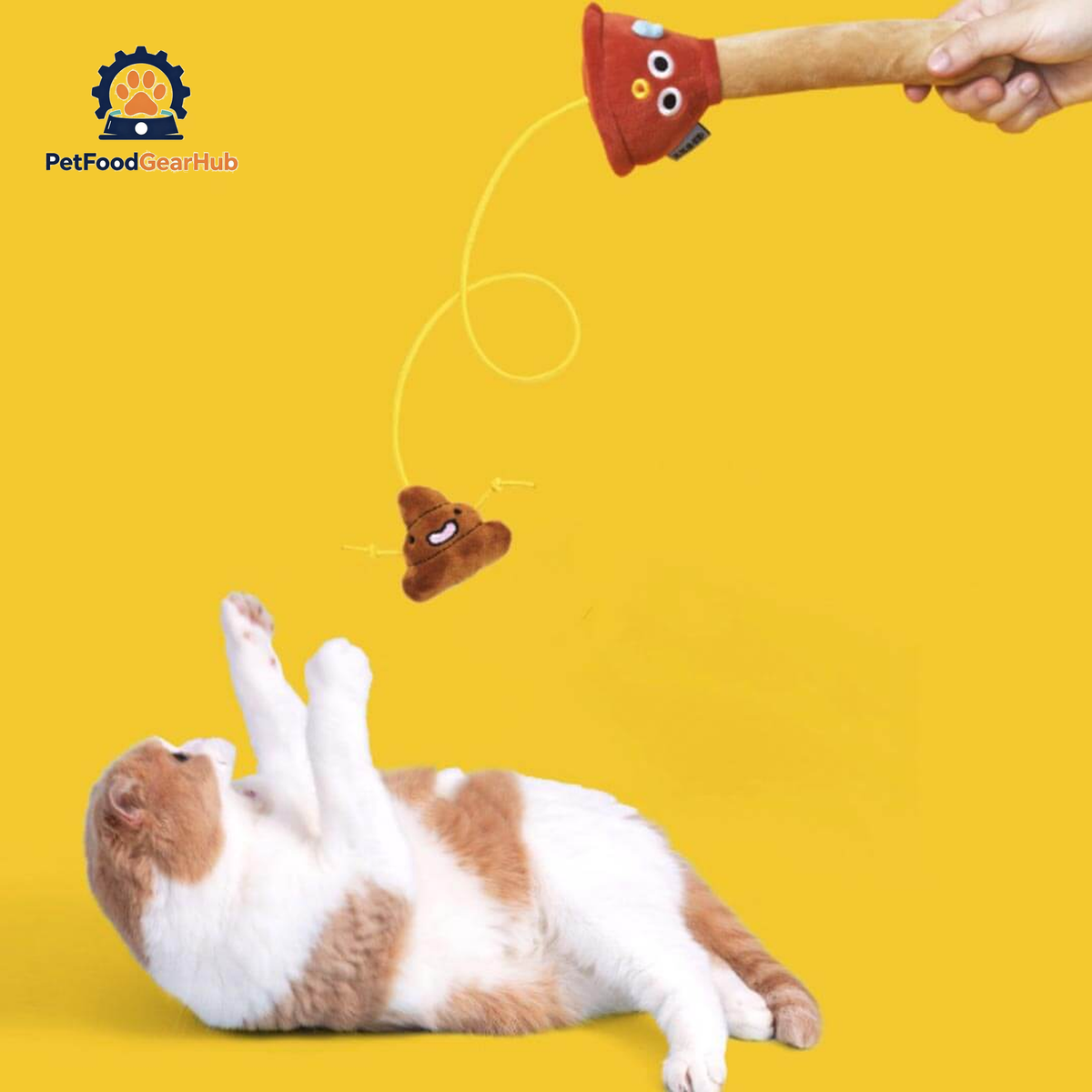 Cat Playing with Plunging Poo Cat Teaser | Funny Kitten & Cat Toys | PetFoodGearHub