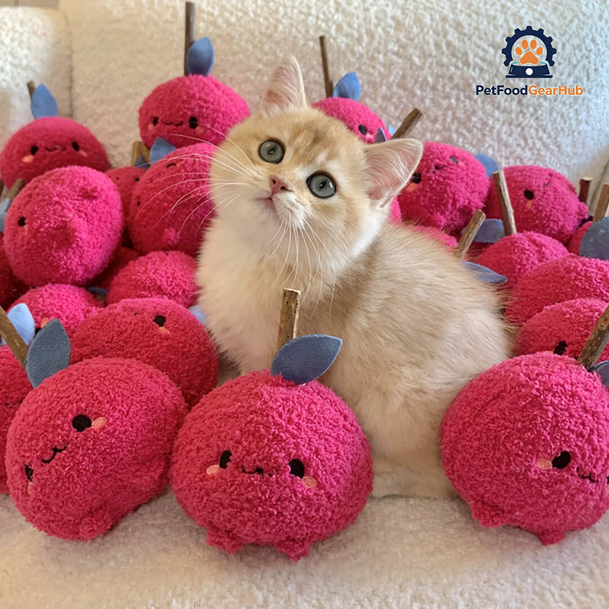 Cat with Cute Apple Silvervine Cat Chew Toys | PetFoodGearHub