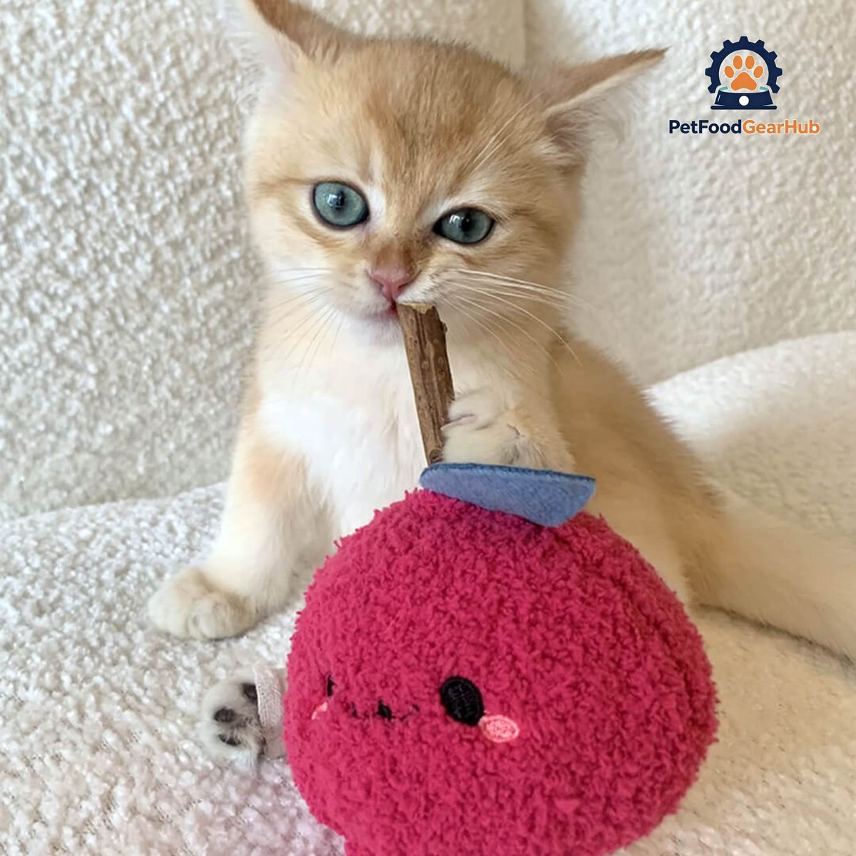 Cat with Cute Apple Silvervine Cat Chew Toy | PetFoodGearHub