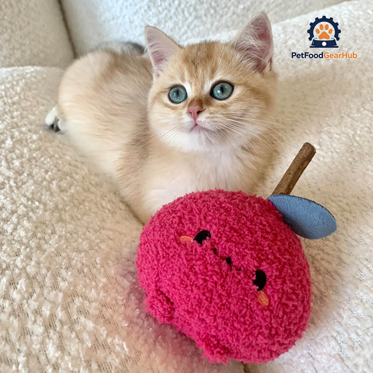 Cat with Cute Apple Silvervine Cat Chew Toy | PetFoodGearHub