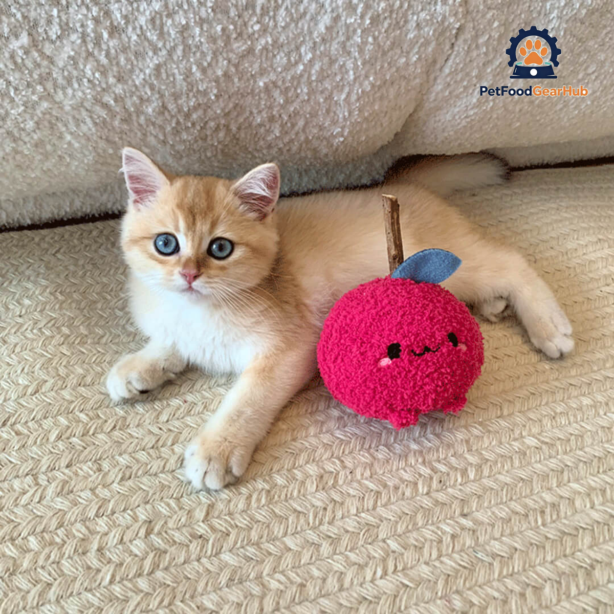 Cat with Cute Apple Silvervine Cat Chew Toy | PetFoodGearHub