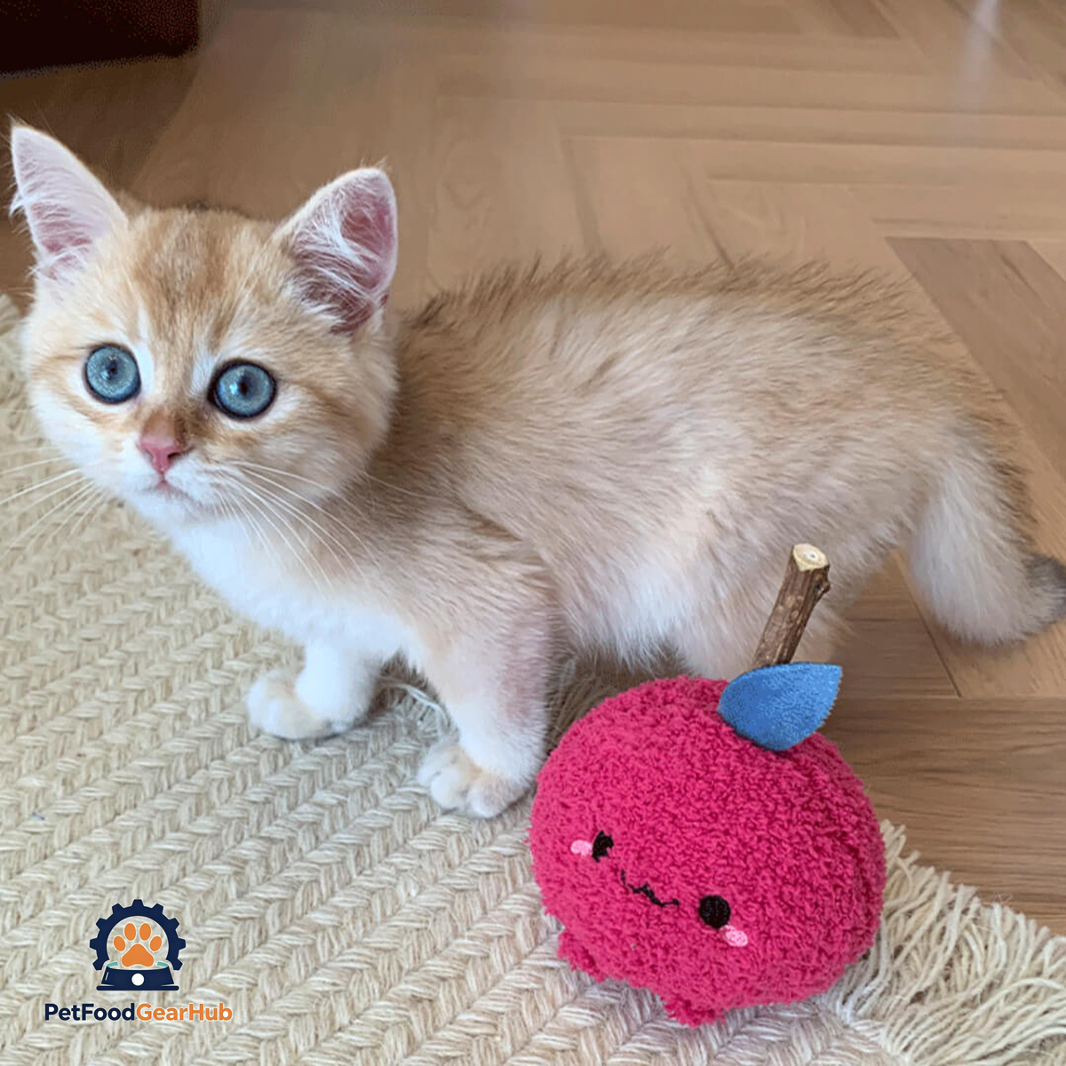Cat with Cute Apple Silvervine Cat Chew Toy | PetFoodGearHub