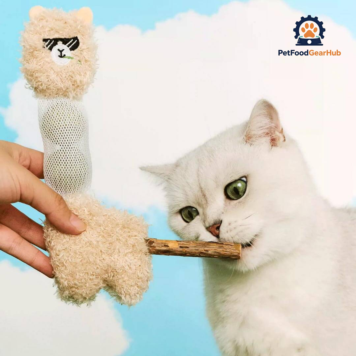 Cat Chewing the Silvervine Stick on an Alpaca Cat Toy | Cat Chew Toys | PetFoodGearHub