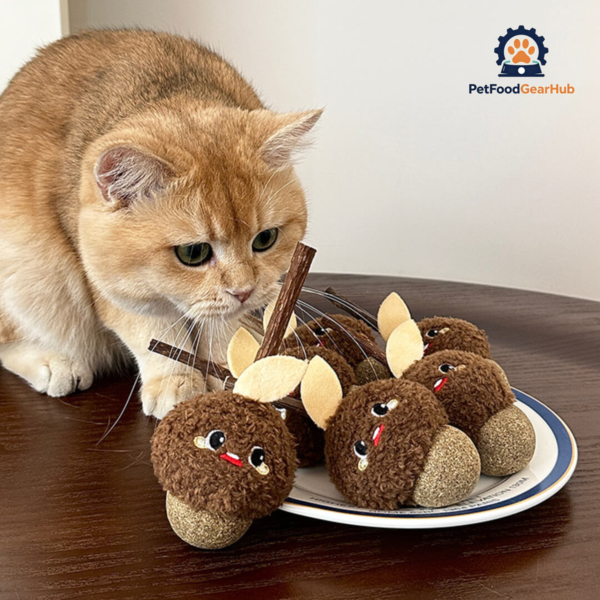 Cat with Cute Hazelnut Silvervine Cat Chew Toys | PetFoodGearHub