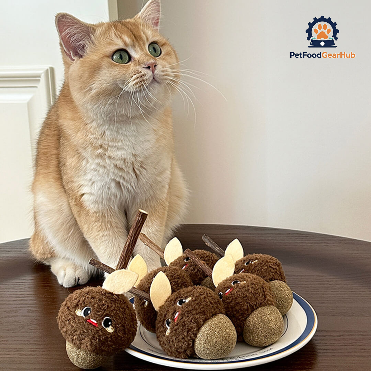 Cat with Cute Hazelnut Silvervine Cat Chew Toys | PetFoodGearHub
