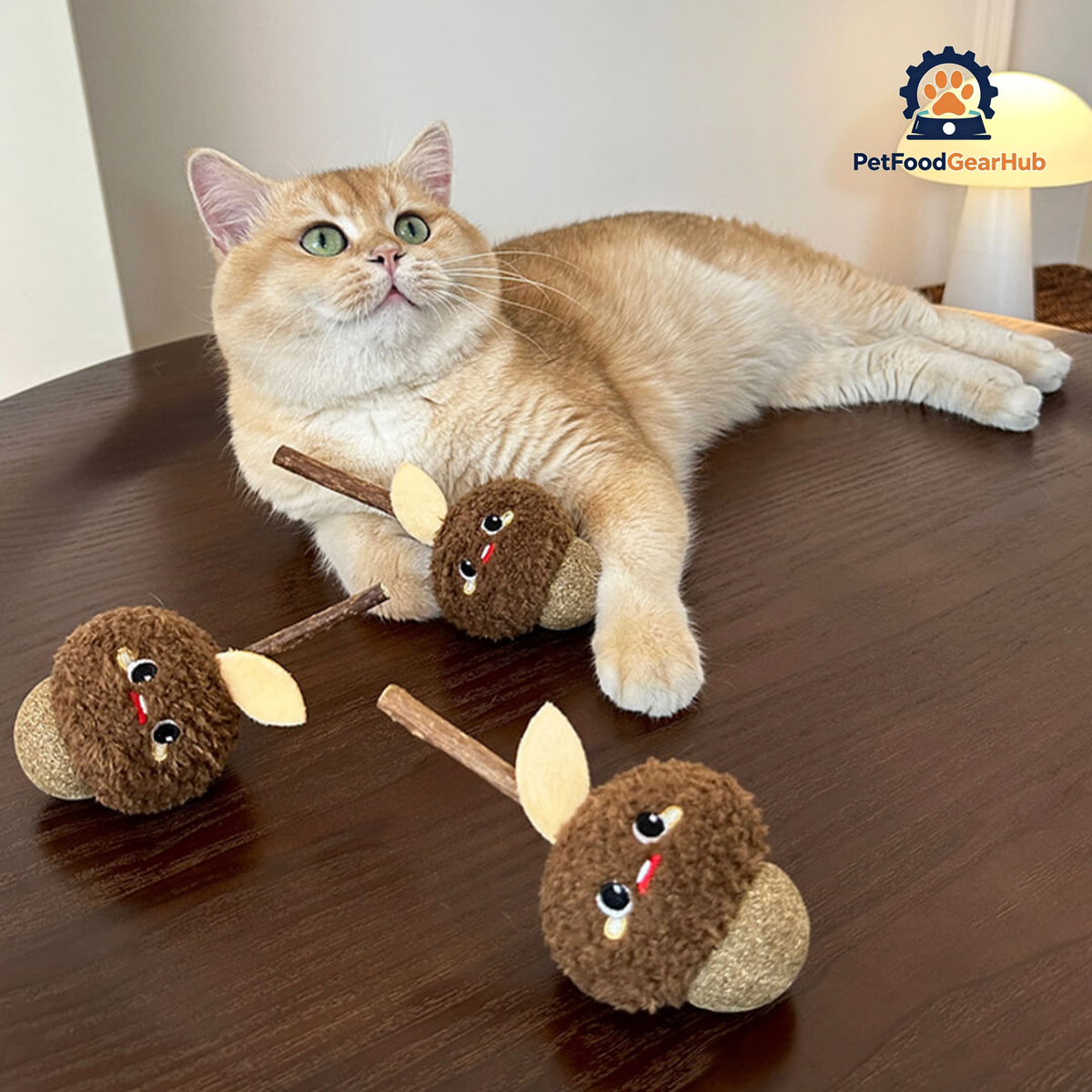Cat with Cute Hazelnut Silvervine Cat Chew Toys | PetFoodGearHub