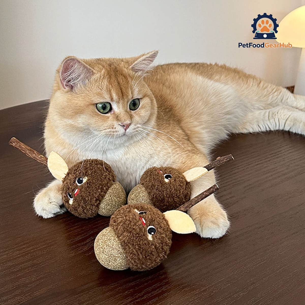 Cat with Cute Hazelnut Silvervine Cat Chew Toys | PetFoodGearHub