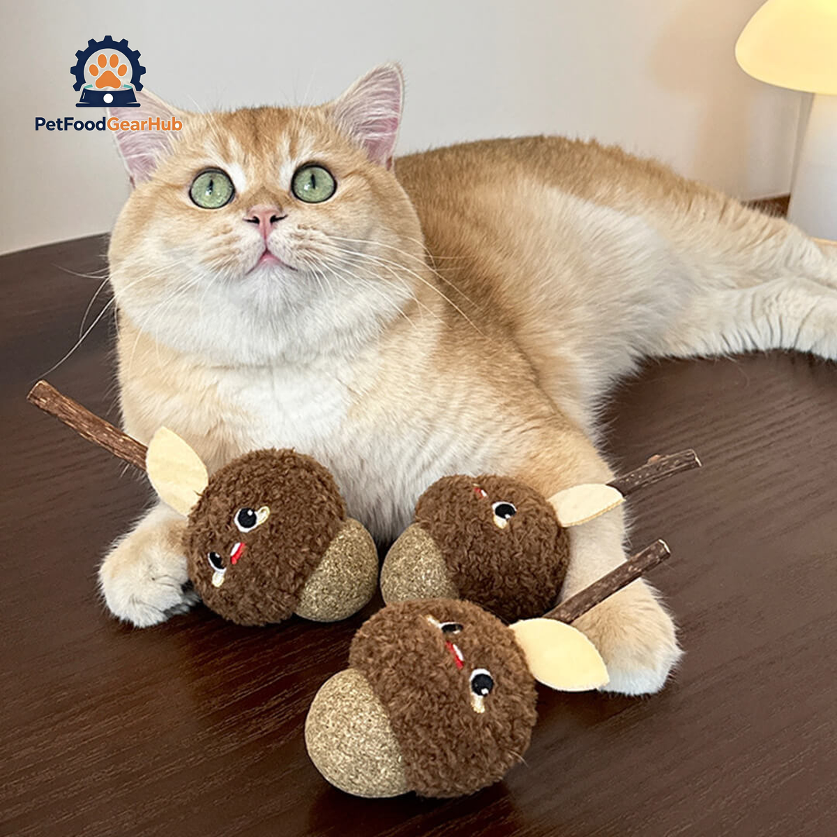 Cat with Cute Hazelnut Silvervine Cat Chew Toys | PetFoodGearHub