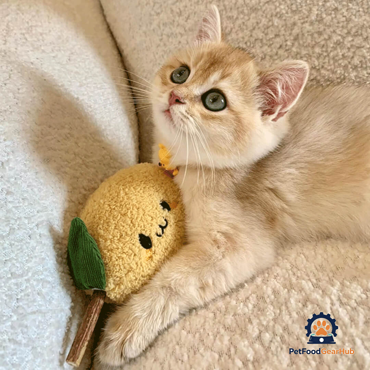 Cat with Cute Lemon Silvervine Cat Chew Toy | PetFoodGearHub