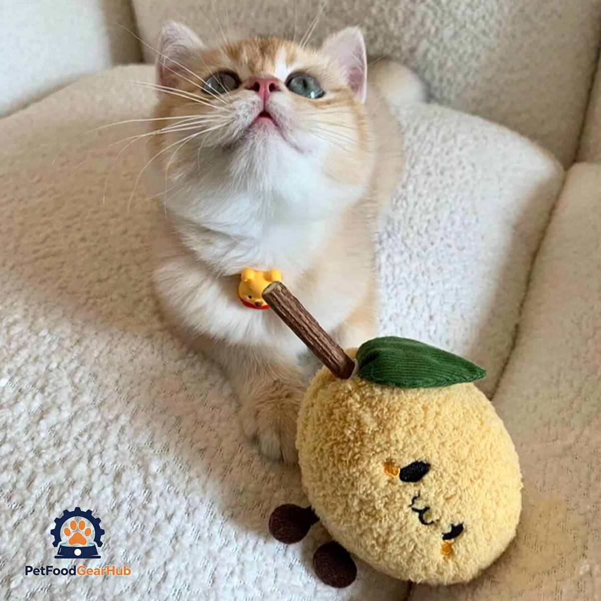 Cat with Cute Lemon Silvervine Cat Chew Toy | PetFoodGearHub