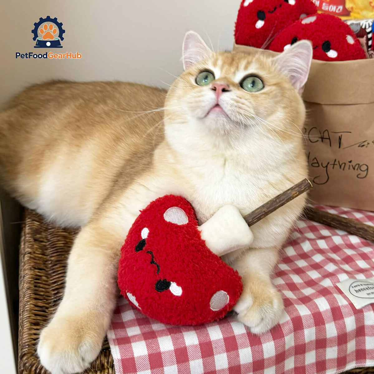 Cat with Cute Mushroom Silvervine Cat Chew Toy | PetFoodGearHub