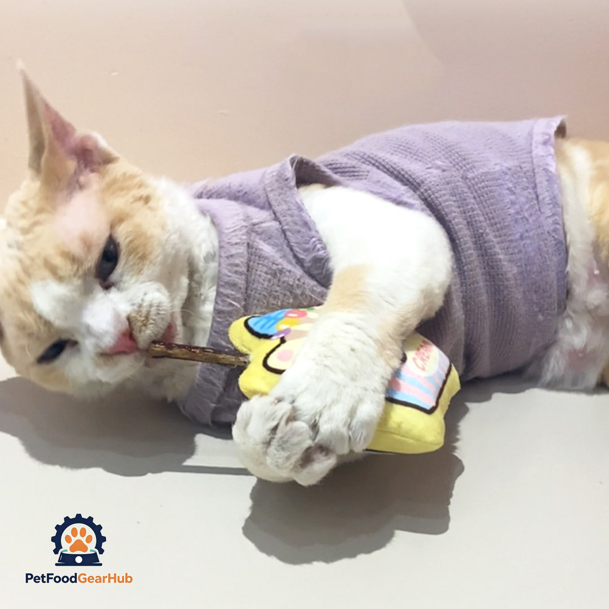 Cat with Cute Ice cream Silvervine Cat Chew Toy | PetFoodGearHub