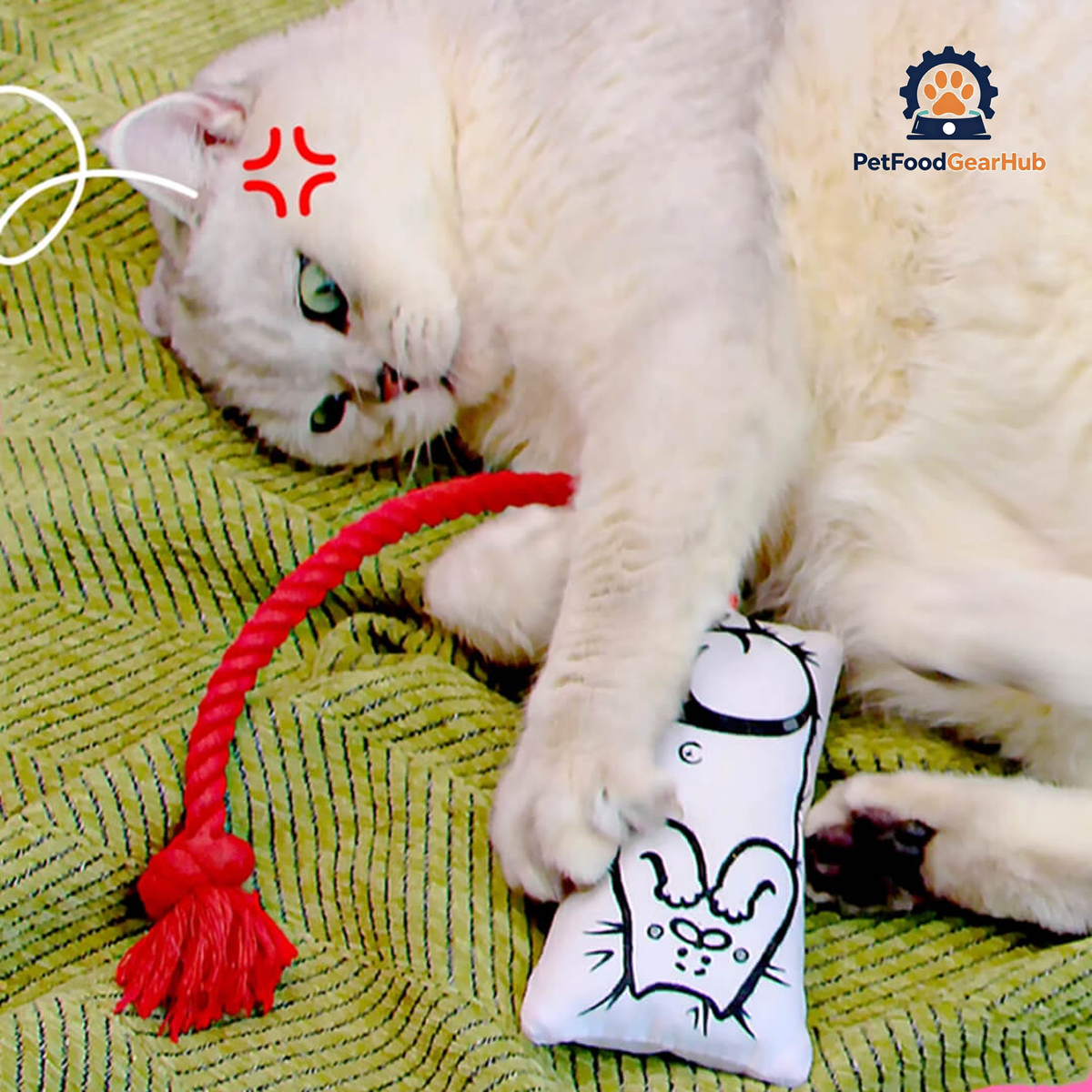 Cat Playing with Power Paws Chew & Tug Pillow Toy | PetFoodGearHub