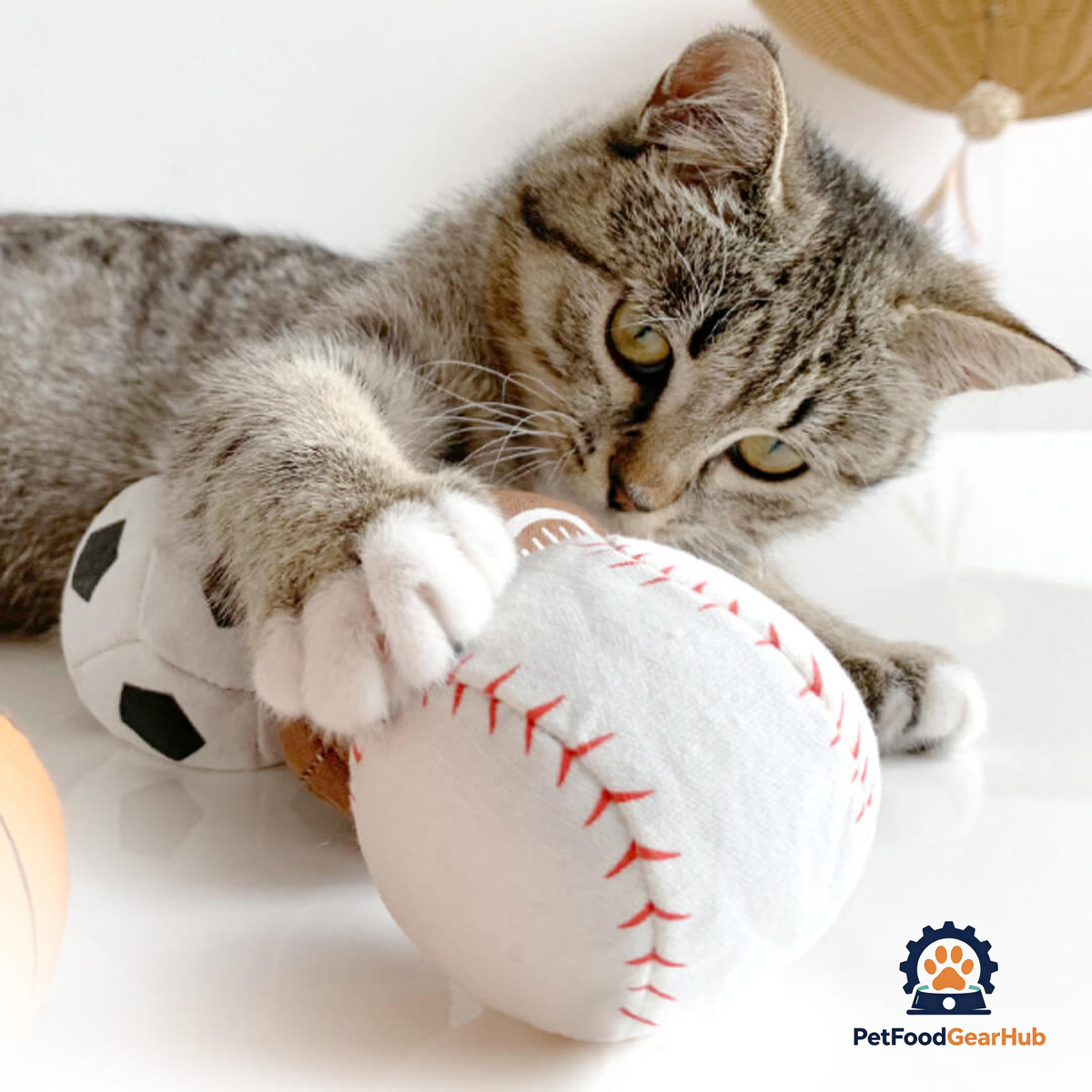Baseball Catnip Toy | Ball Toys for Cats | PetFoodGearHub