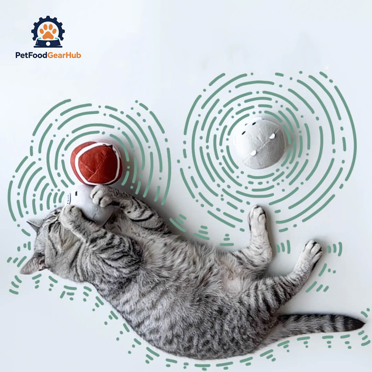 Cat Playing with Cat Ball Toys | PetFoodGearHub