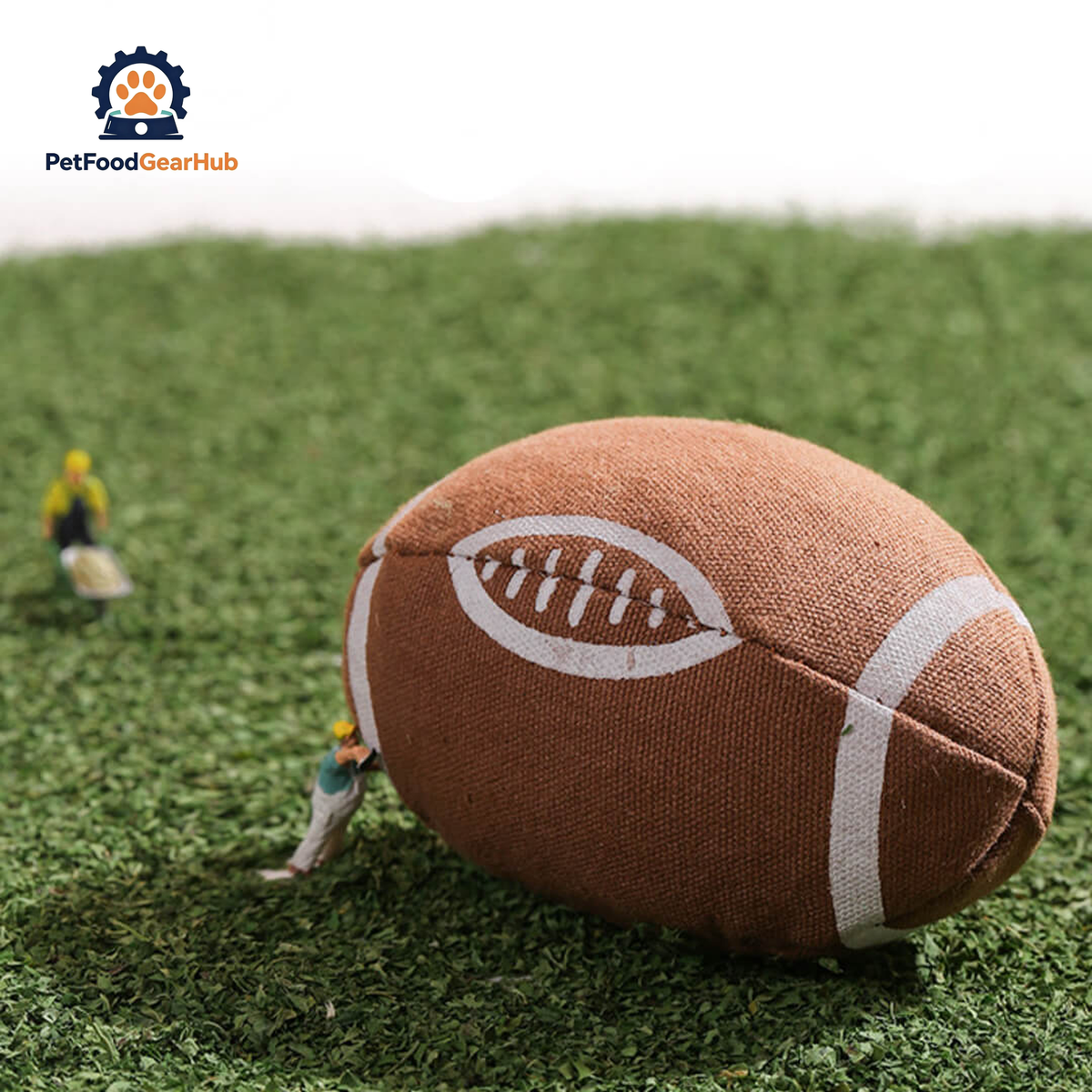 Rugby Catnip Toy | Ball Toys for Cats | PetFoodGearHub