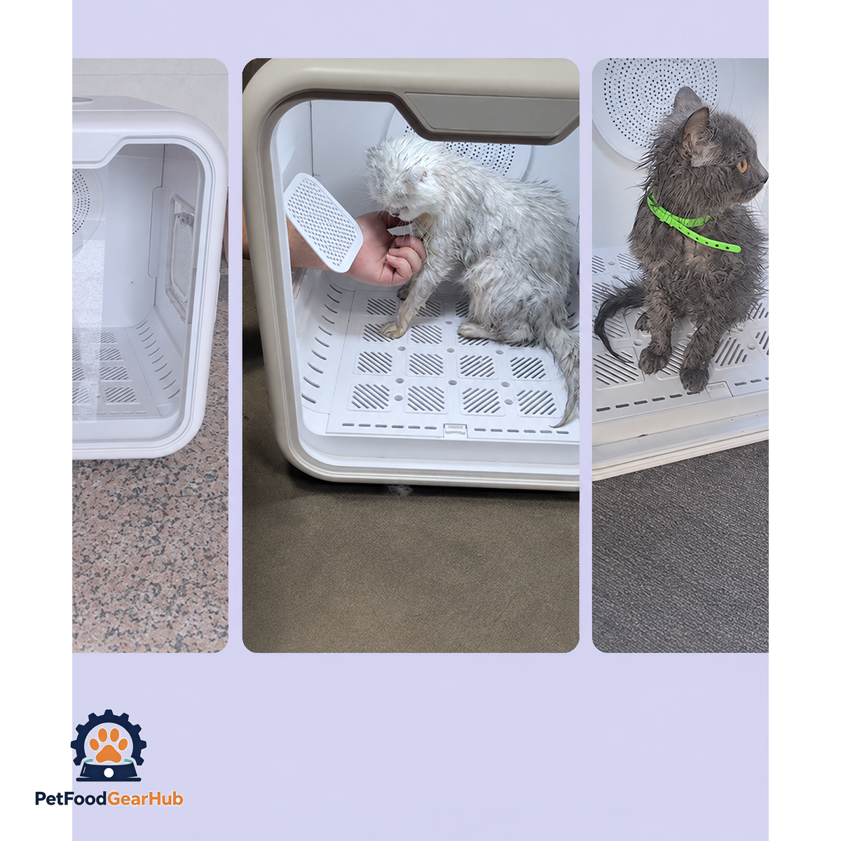 PetFoodGearHub 65 L Smart Pet Drying Cabinet product view 12
