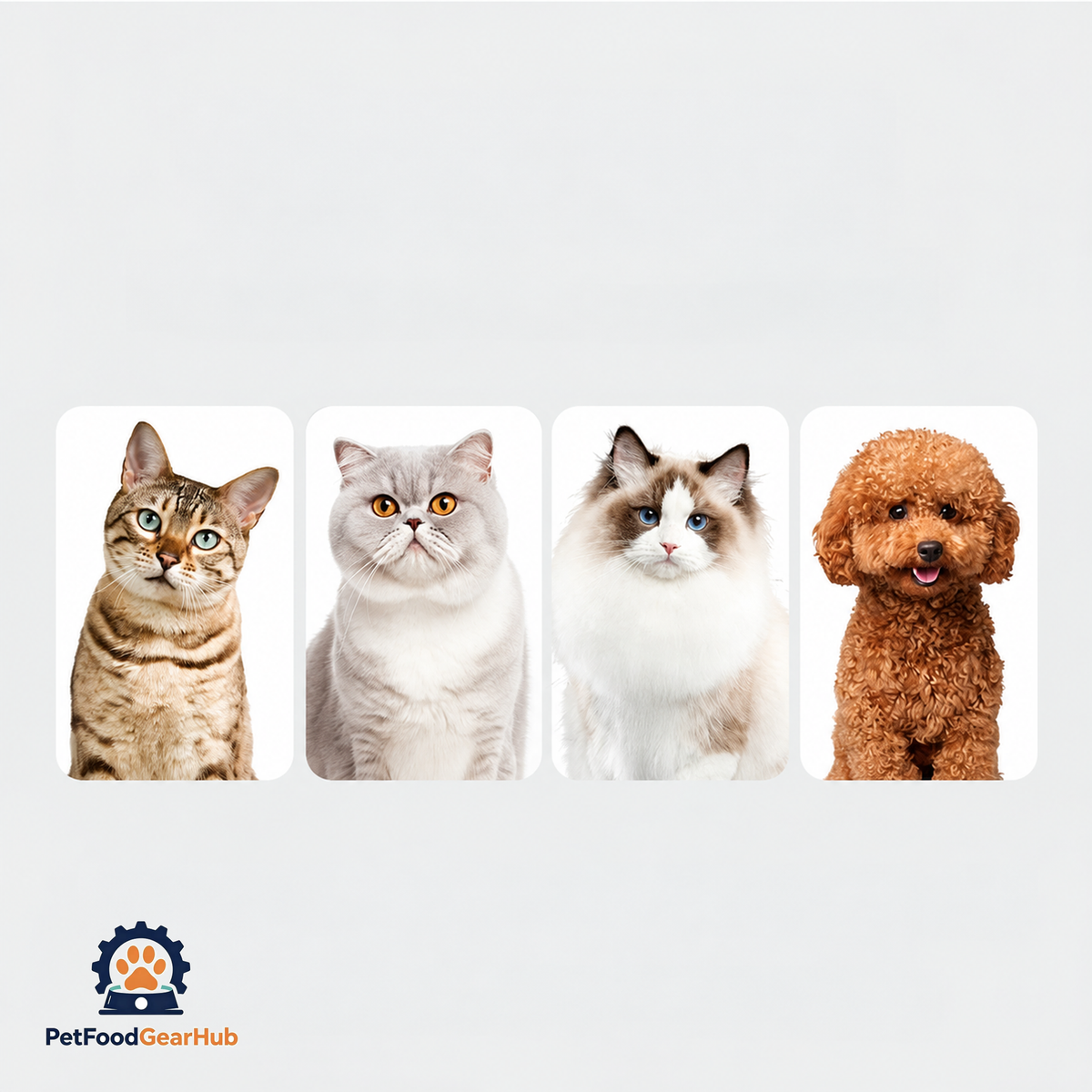 PetFoodGearHub Multi-Model Compact Pet Drying Cabinet product view 22