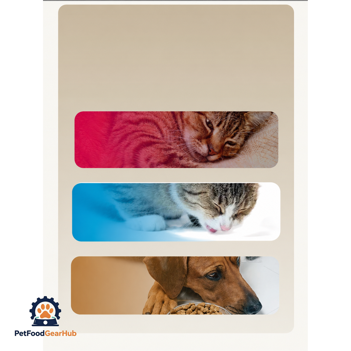 PetFoodGearHub Vacuum Pet Food Storage Container product view 15