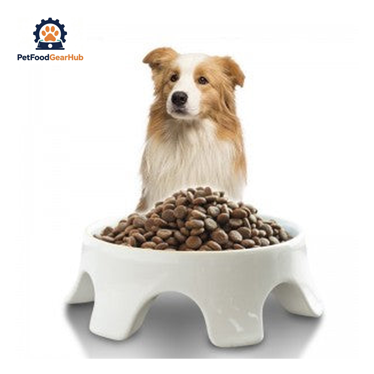 PFGH LSM-01 US Full Nutritional Puppy Dog Dry Food – Wholesale Dog Food product image by PetFoodGearHub