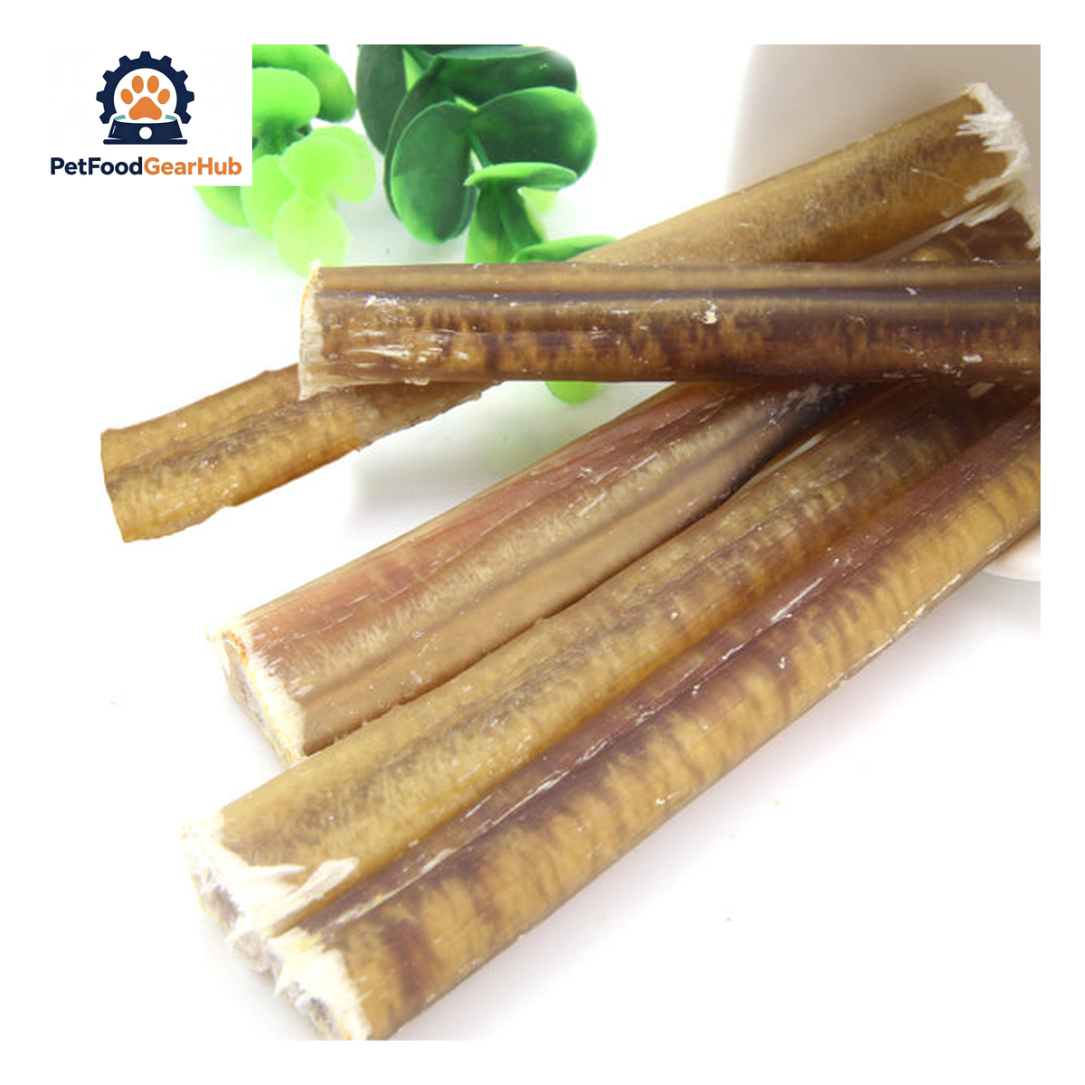 PFGH LS-05 US Dried Beef Pizzle Dog Training Treats – Wholesale Dog Treats product image by PetFoodGearHub